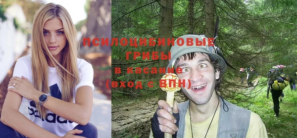 не бодяженный Арсеньев