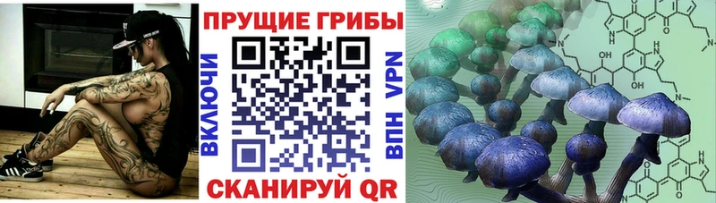 наркошоп  гидра ТОР  Галлюциногенные грибы ЛСД  Балахна 